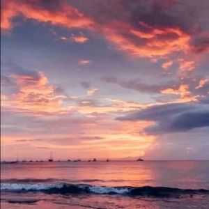 Meet your Posher, Lydia